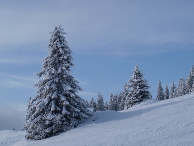 Ansichtskarten