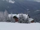 Photogalerie (232)