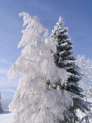 Ansichtskarten