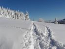 Stopa v čerstvě napadaném sněhu