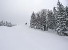 Photogalerie (19)